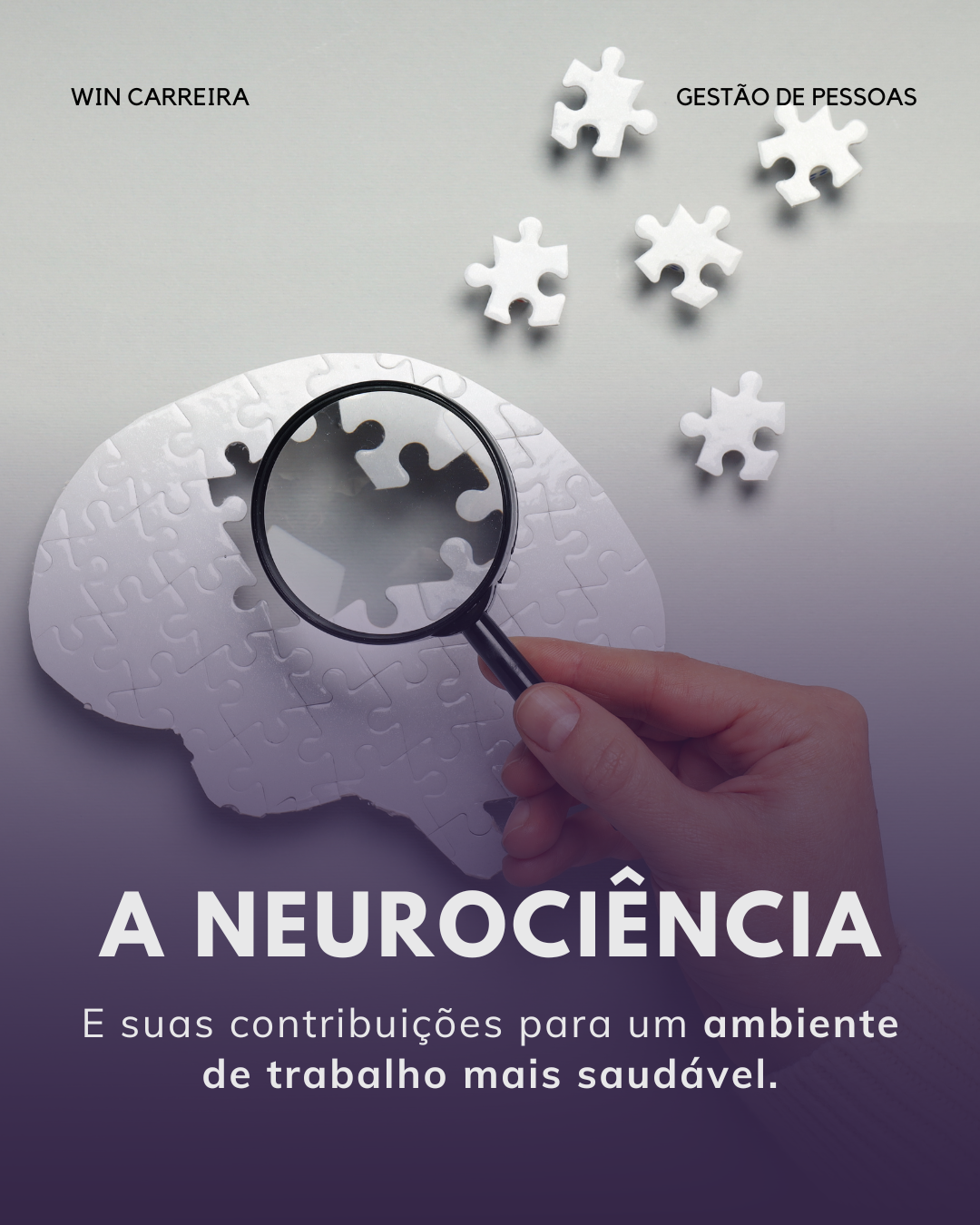 WinCarreira Blog - A Neurociência do trabalho